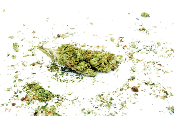 Marijuana Och Cannabis Shake Bröt Upp Torkat Gräs Och Gryta — Stockfoto