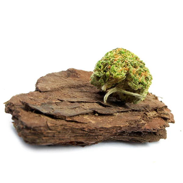 Marijuana Cannabis Bud Legno — Foto Stock