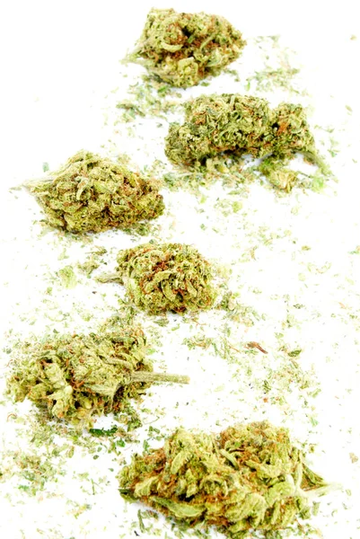 Arka Planda Marihuana Kenevir Yasallaştırması Kapatın — Stok fotoğraf
