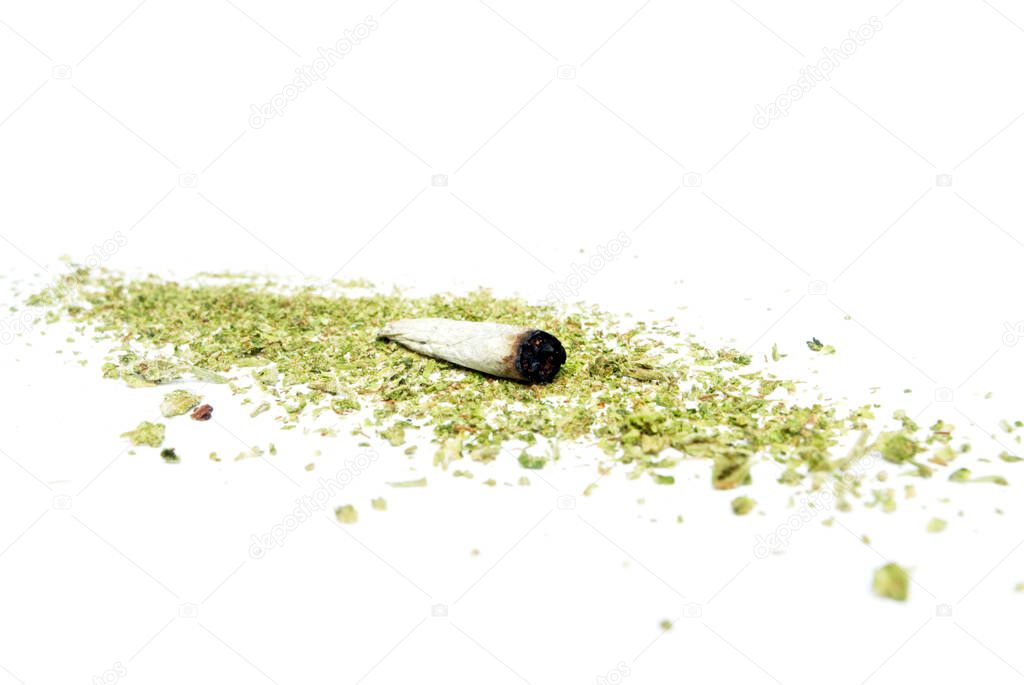 Marijuana  and Smoked Joint on a white background