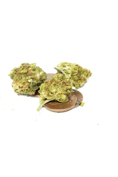 Marijuana Cannabis Legalization Objects Background — Stock Photo, Image