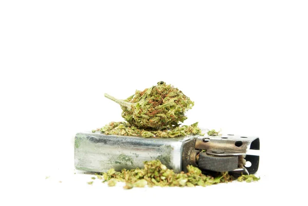 Marijuana Cannabis Shake Lighter — Stock Photo, Image