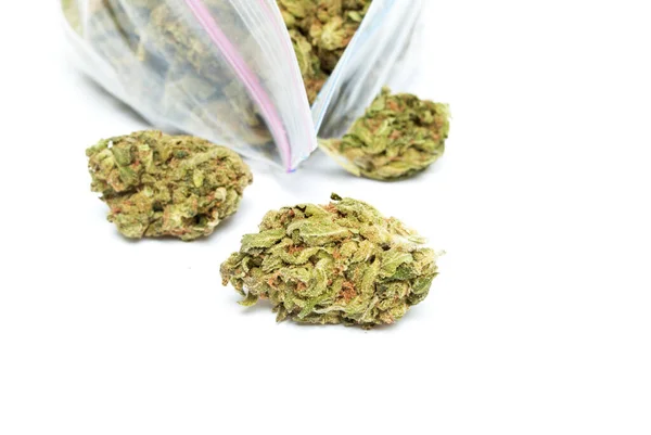 マリファナと大麻の合法化とレクリエーション雑草 — ストック写真