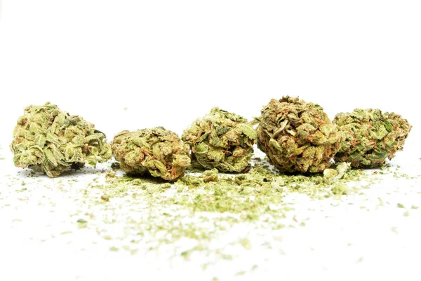 マリファナと大麻の合法化とレクリエーション雑草 — ストック写真