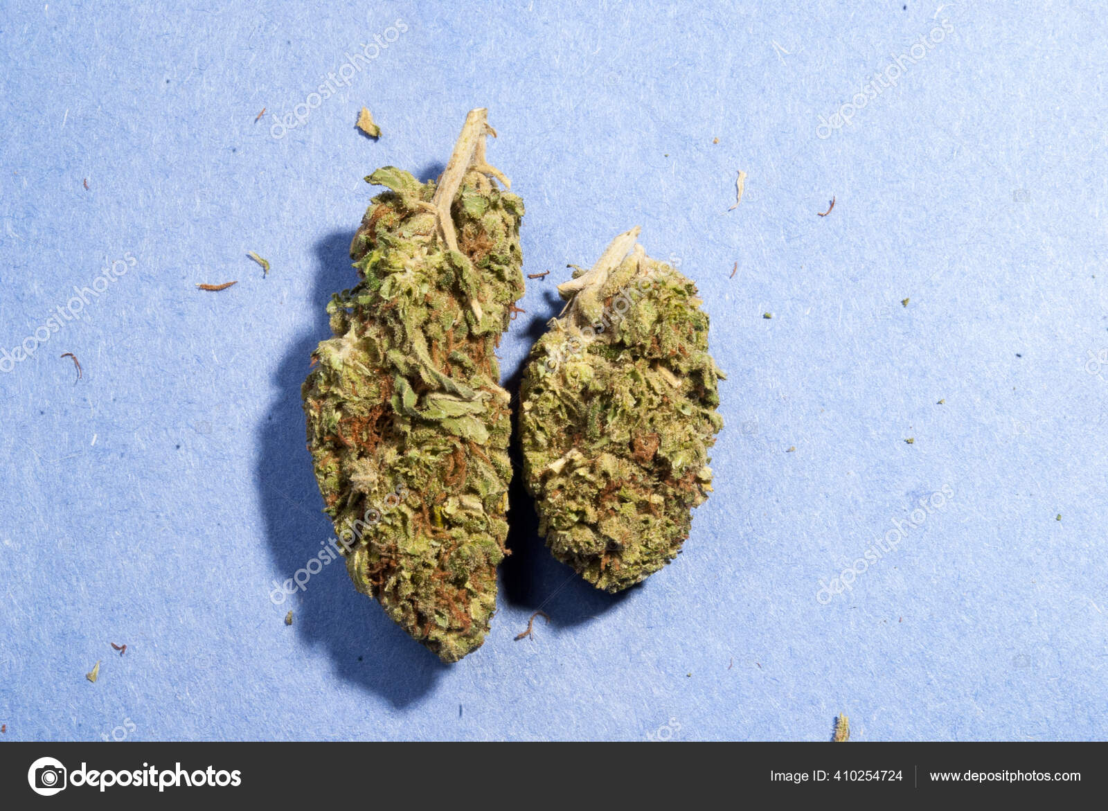 Marihuana Cogollos Cannabis Secos Segundo Plano — Foto de stock #410254724  © jeremyn, image size:1600x1171