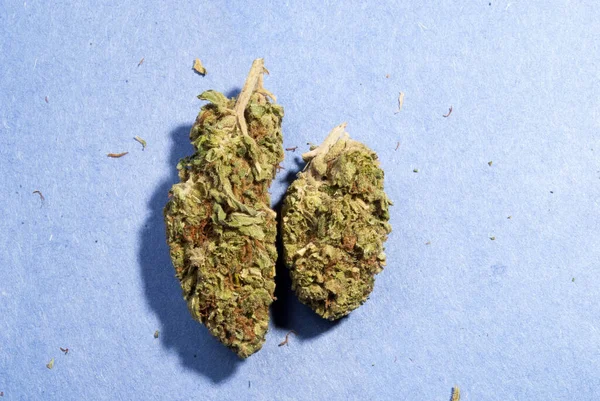 Marihuana Cogollos Cannabis Secos Segundo Plano —  Fotos de Stock