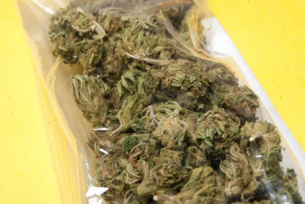 Marijuana Torkade Cannabis Knoppar Bakgrunden — Stockfoto