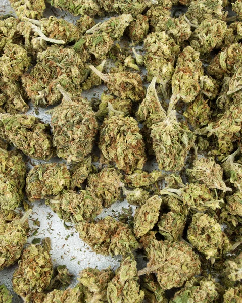 Marijuana Germogli Cannabis Essiccati Sfondo — Foto Stock