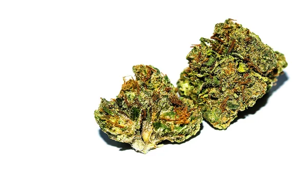 Marijuana Dried Cannabis Buds Fundo — Fotografia de Stock