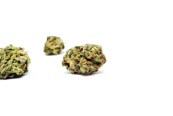 Marijuana Germogli Cannabis Essiccati Sfondo — Foto Stock
