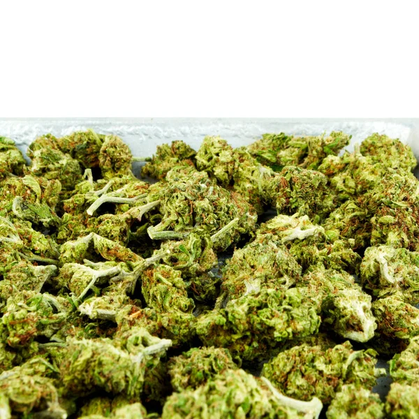 Marijuana Och Cannabis Skakar Vit Bakgrund Panorama — Stockfoto