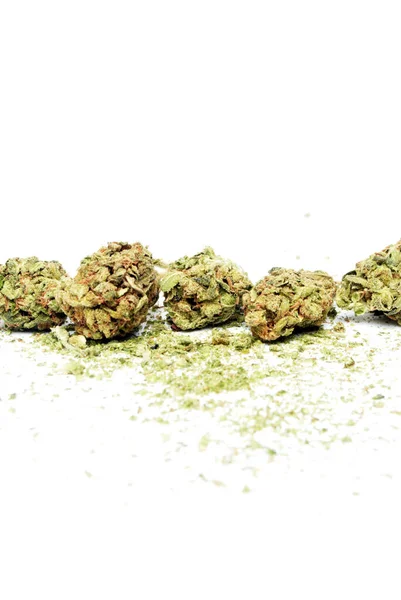 Marijuana Och Cannabis Legalisering Vit Bakgrund — Stockfoto