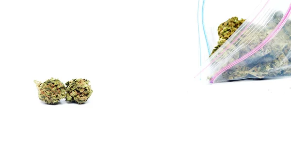 Marijuana Cannabis Legalizzazione Divertimento Erbaccia — Foto Stock