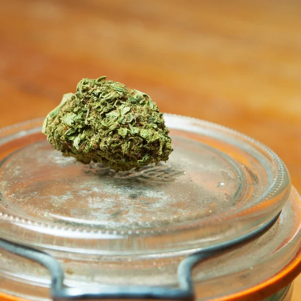 Planta Marihuana Cannabis Buds —  Fotos de Stock