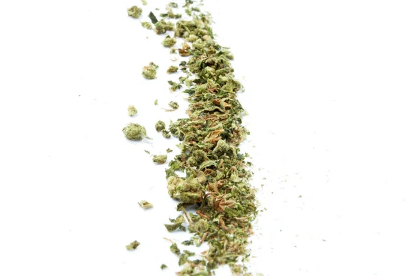 Maconha Seca Cannabis Agitar Fundo Branco — Fotografia de Stock