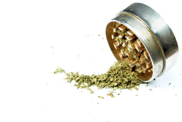 大麻芽和磨床 — 图库照片