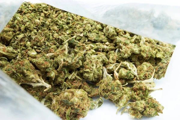 Cannabis Buds Marihuana Sobre Fondo Blanco — Foto de Stock