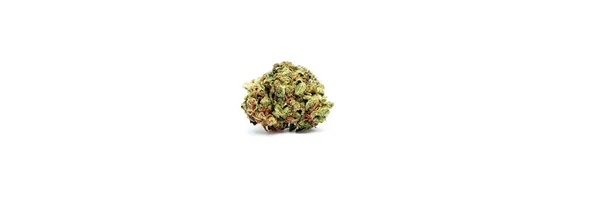 Estudio Marihuana Cannabis Bodegón Con Fondo Blanco Fumar Hierba Marihuana Imagen De Stock
