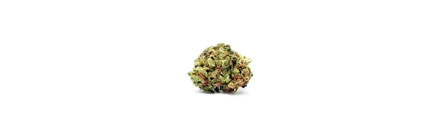 Marijuana Cannabis Studio Nature Morte Avec Fond Blanc Fumer Herbe — Photo