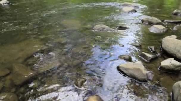 Água Movendo Rapidamente Sobre Rochas Com Reflexão Rio Córrego — Vídeo de Stock