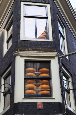 Amsterdam 'da, Hollanda' da raflarda peynir çarkları var.