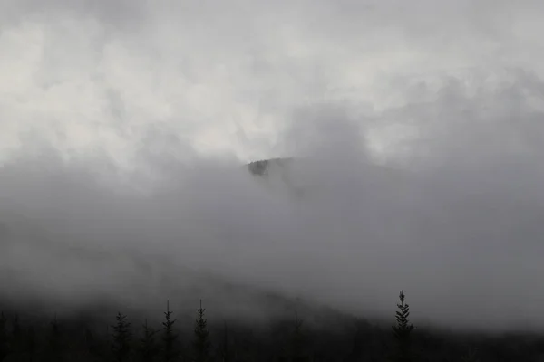 Grandi Montagne Fumose Rolling Hills Alberi Verdi — Foto Stock