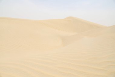 Plajdaki kum tepeciklerinin yakın çekim detayları yaz güneşi dokusu ve deseni