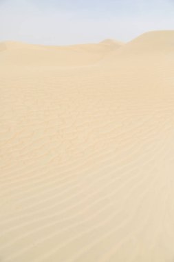 Plajdaki kum tepeciklerinin yakın çekim detayları yaz güneşi dokusu ve deseni