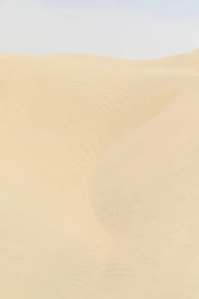 Dettaglio Primo Piano Della Duna Sabbia Della Spiaggia Nella Struttura — Foto Stock