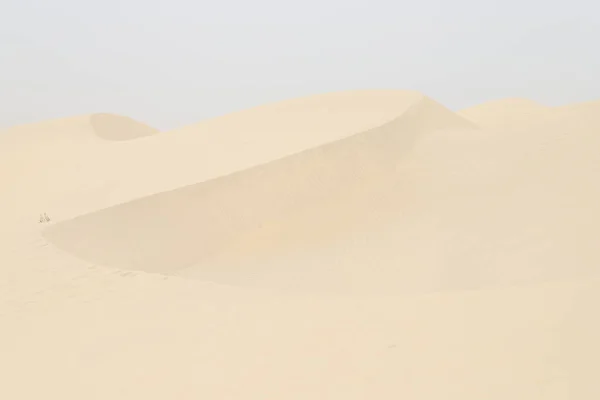 Крупним Планом Деталь Пляжної Піщаної Дюни Літній Текстурі Сонця Візерунку — стокове фото