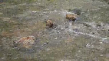 Su kayaların üzerinden yansıyarak, nehirle ya da dereyle hızla geçiyor.. 