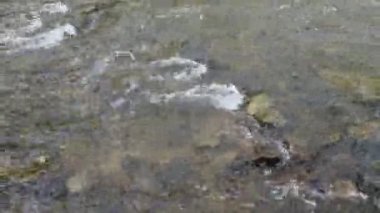 Su kayaların üzerinden yansıyarak, nehirle ya da dereyle hızla geçiyor.. 