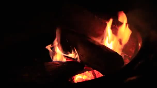 Feu Camp Avec Lecture Chaude Flammes Orange Pour Cuisson — Video