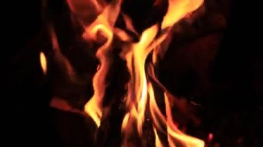 Yanan günlük, hızlandırılmış yakın çekim 