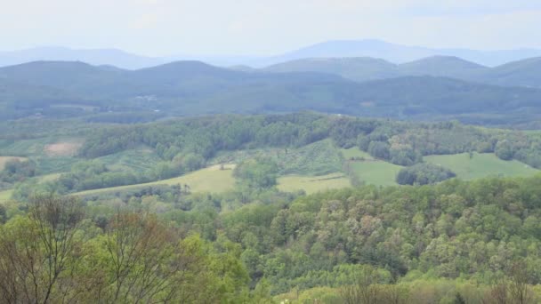 緑の丘陵や木々の景色 — ストック動画