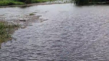 Yazın sakin bir nehirde güneşli bir gün