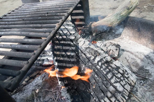 Arka Planda Bir Barbekü Izgarasının Yakın Çekimi — Stok fotoğraf