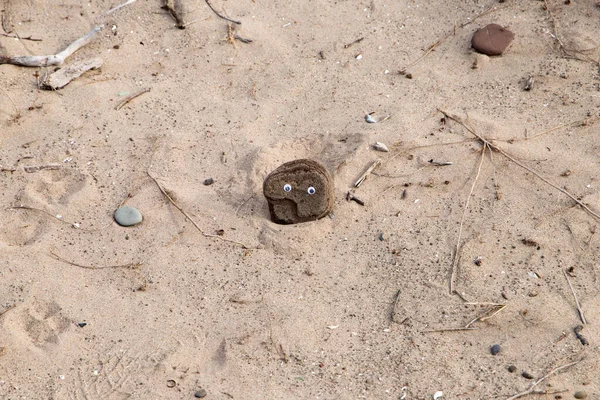 Pierre Avec Les Yeux Sur Fond Sable Gros Plan — Photo