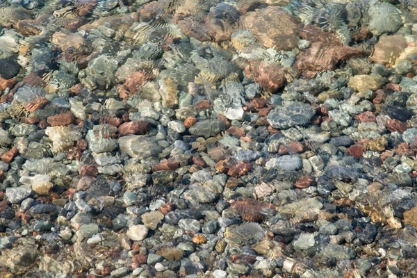 Sahilde Deniz Dalgaları — Stok fotoğraf