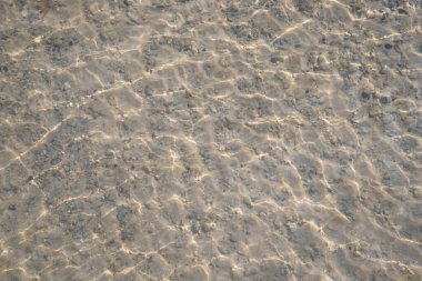 Denizde kumsal doğa arka planında