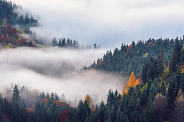 Mglisty Wschód Słońca Nad Góry Las Jesienią Piękny Krajobraz Wiejski — Zdjęcie stockowe