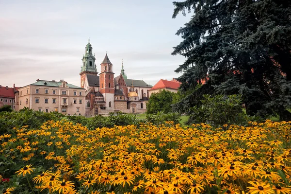 Dziedziniec zamku na Wawelu — Zdjęcie stockowe
