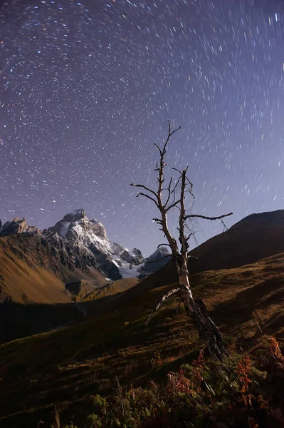 星の軌跡と山の風景 — ストック写真