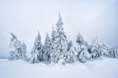 masal kış manzarası.