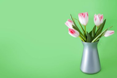 Pembe Laleler arka plan