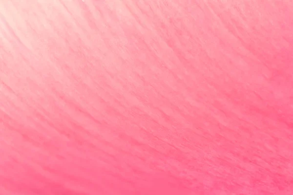 Rózsaszín virágos háttér — Stock Fotó