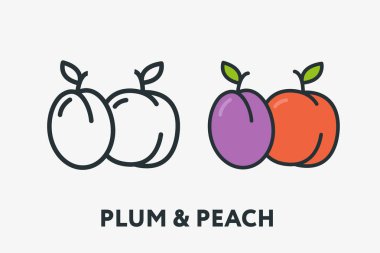 Erik ve şeftali kayısı meyve en az düz çizgi anahat renkli ve kontur simgesini piktogram