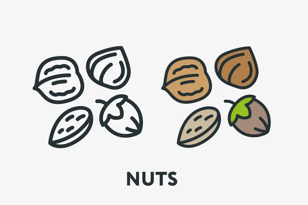 坚果素食概念 核桃极平线轮廓五颜六色和冲程图标象形图 — 图库矢量图片