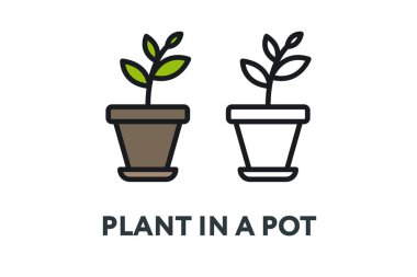 Yeşil bitki bir tencerede. İç bahçe mobilyaları konsept. Minimal renk düz çizgi anahattı kontur simgesini.