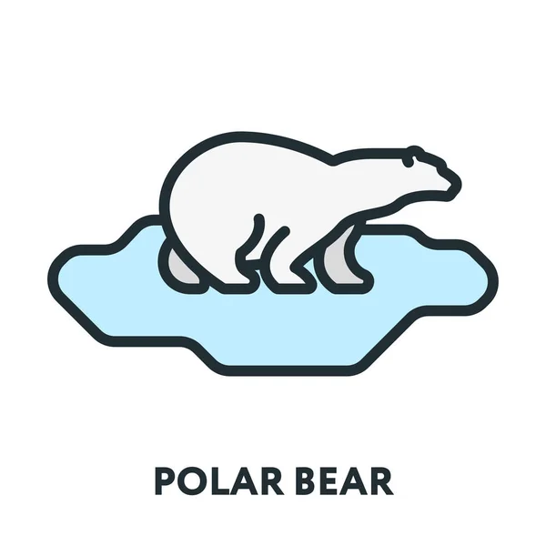 北极北极熊在冰上 矢量扁线冲程图标 — 图库矢量图片